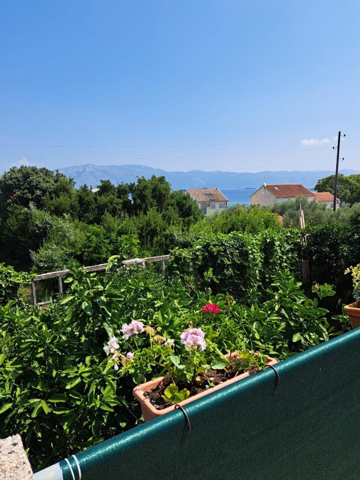 Apartmani Dusica Lumbarda Esterno foto